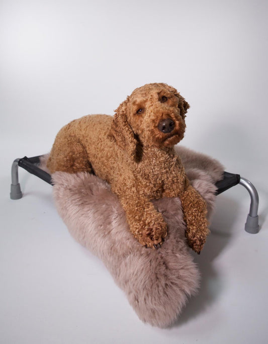 Mid Green Sheepskin - HiK9
