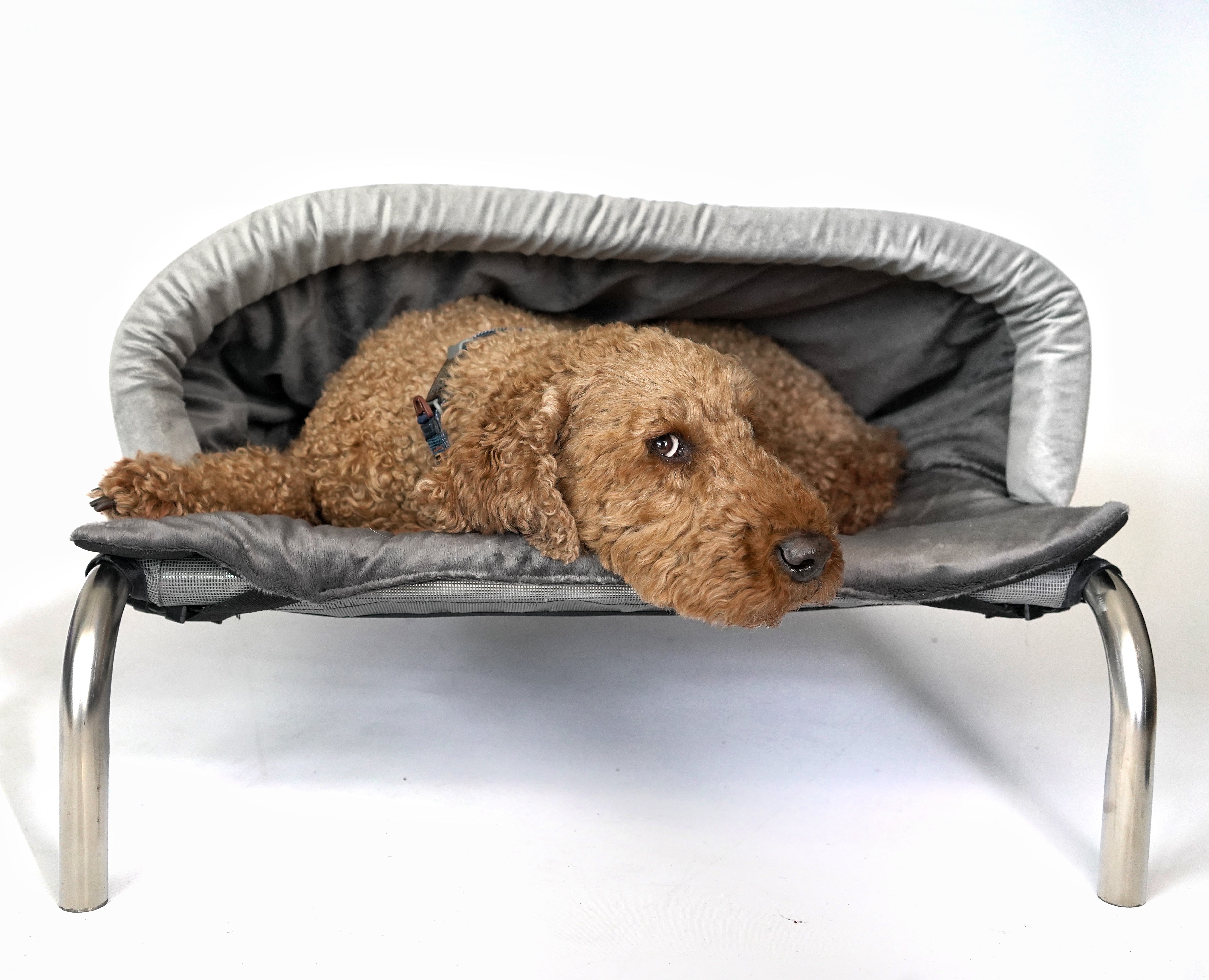 Grey Velvet Grey Velour Luxury Snuggle Tunnel HiK9